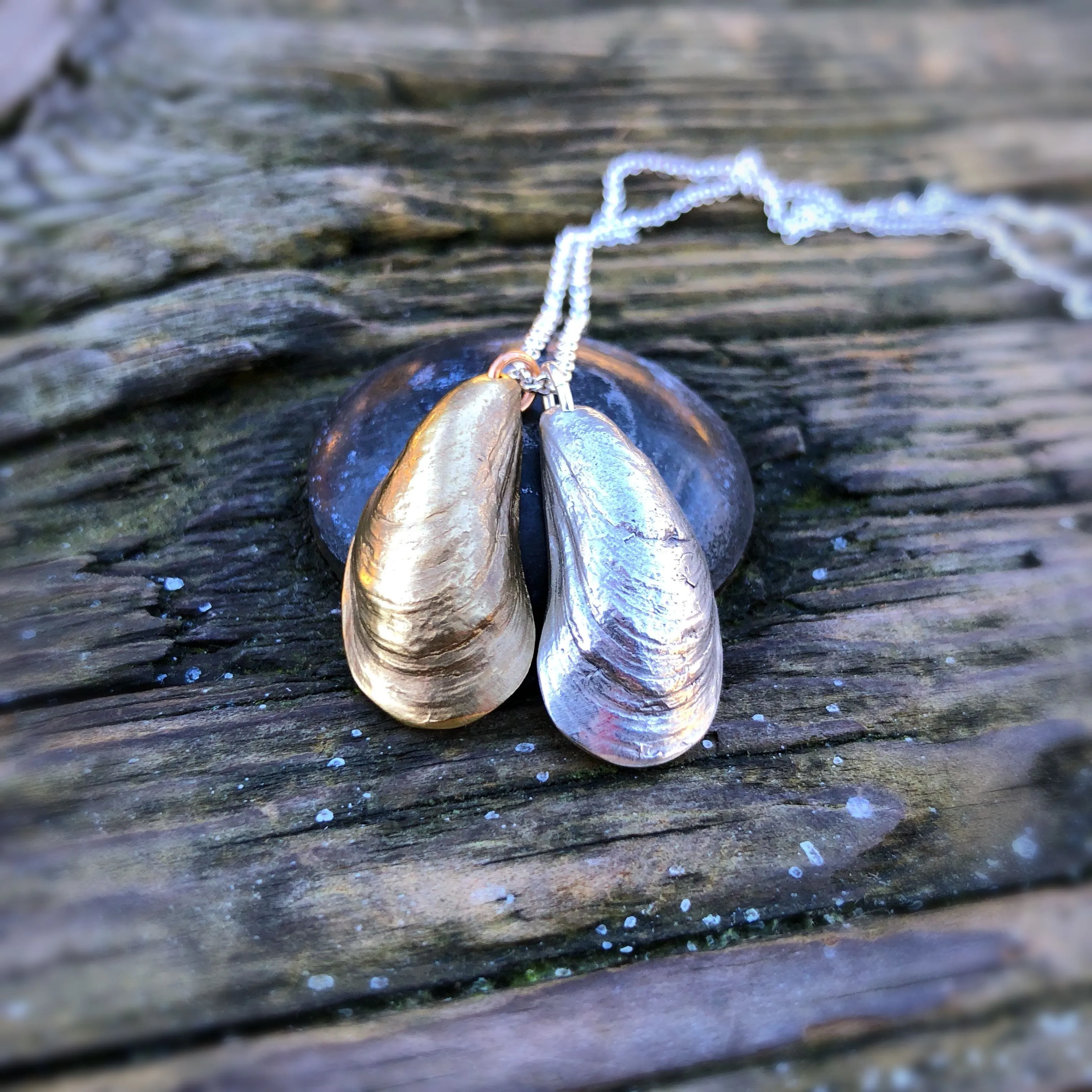Miracle Beach Mussel Shell Pendant (Duo)