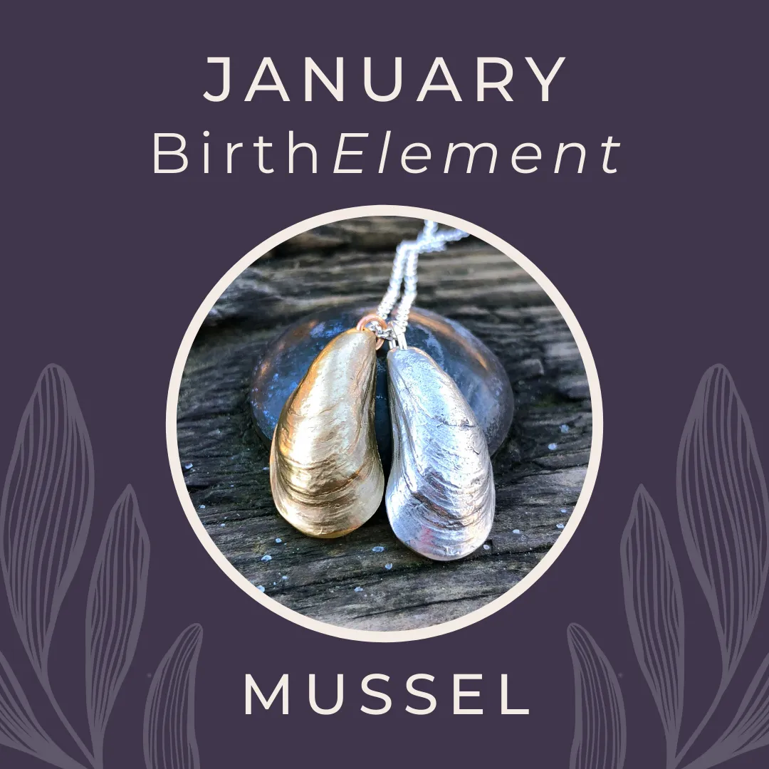 Miracle Beach Mussel Shell Pendant (Duo)